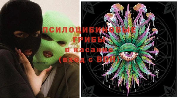 твердый Верея