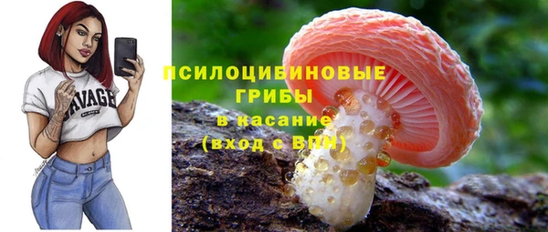 твердый Верея