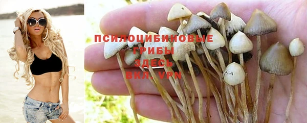 твердый Верея