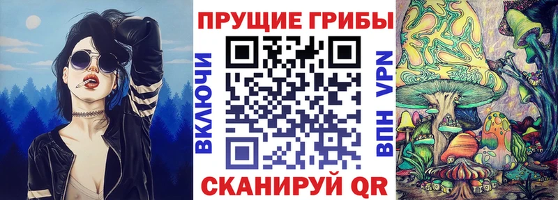 купить закладку  Славянск-на-Кубани  Галлюциногенные грибы прущие грибы 