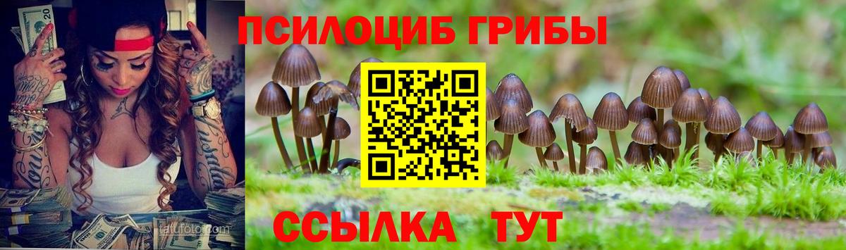 Галлюциногенные грибы GOLDEN TEACHER  Вход с VPN  Славянск-на-Кубани 